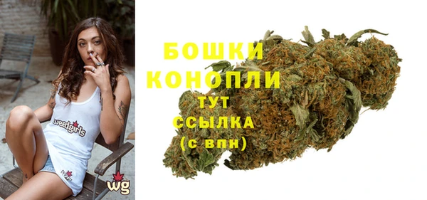 Альфа ПВП Няндома
