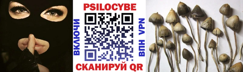 Псилоцибиновые грибы Psilocybe  Сосногорск 